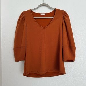 Rust Orange V-Neck Textured Puff Sleeve Blouse